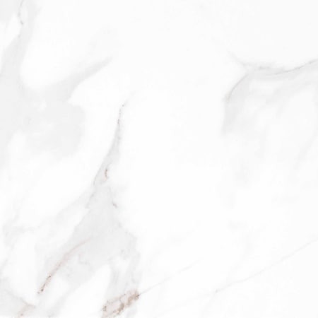 Msi Pietra Carrara SAMPLE Glazed Porcelain Floor And Wall Tile ZOR-PT-0265-SAM